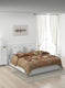 Printed Mink Double Blanket for Heavy Winter -2 Ply