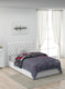 Printed Mink Single Blanket for Heavy Winter -2 Ply