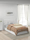 Printed Mink Single Blanket for Heavy Winter - 2 Ply