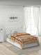 Printed Mink Single Blanket for Heavy Winter - 2 Ply