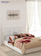 Single Bed Multicolor Mink Blanket - 2 Ply