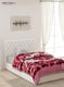 Single Bed Multicolor Mink Blanket - 2 Ply