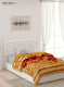 Single Bed Multicolor Mink Blanket - 2 Ply