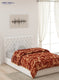 Single Bed Multicolor Mink Blanket - 2 Ply