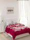 Double Bed Multicolor Mink Blanket - 2 Ply