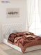 Printed Mink Single Blanket for Heavy Winter -2 Ply