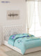 Single Bed Multicolor Mink Blanket - 2 Ply