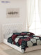 Single Bed Multicolor Mink Blanket - 1 Ply